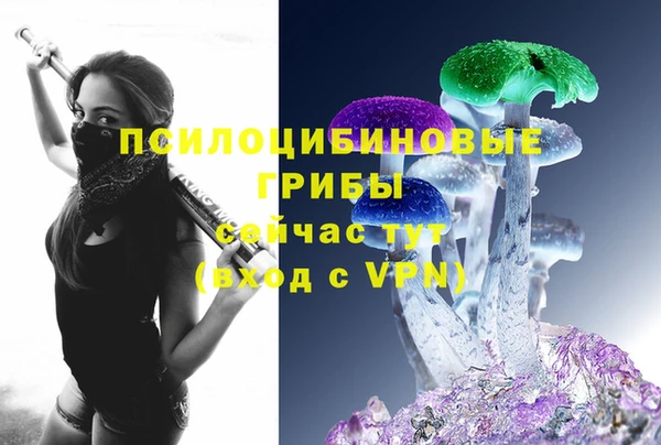 герыч Верхний Тагил