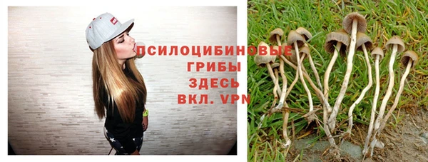 марки nbome Верея