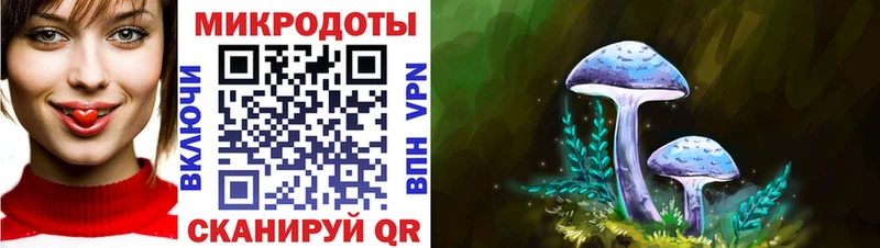 Псилоцибиновые грибы Psilocybine cubensis Абакан